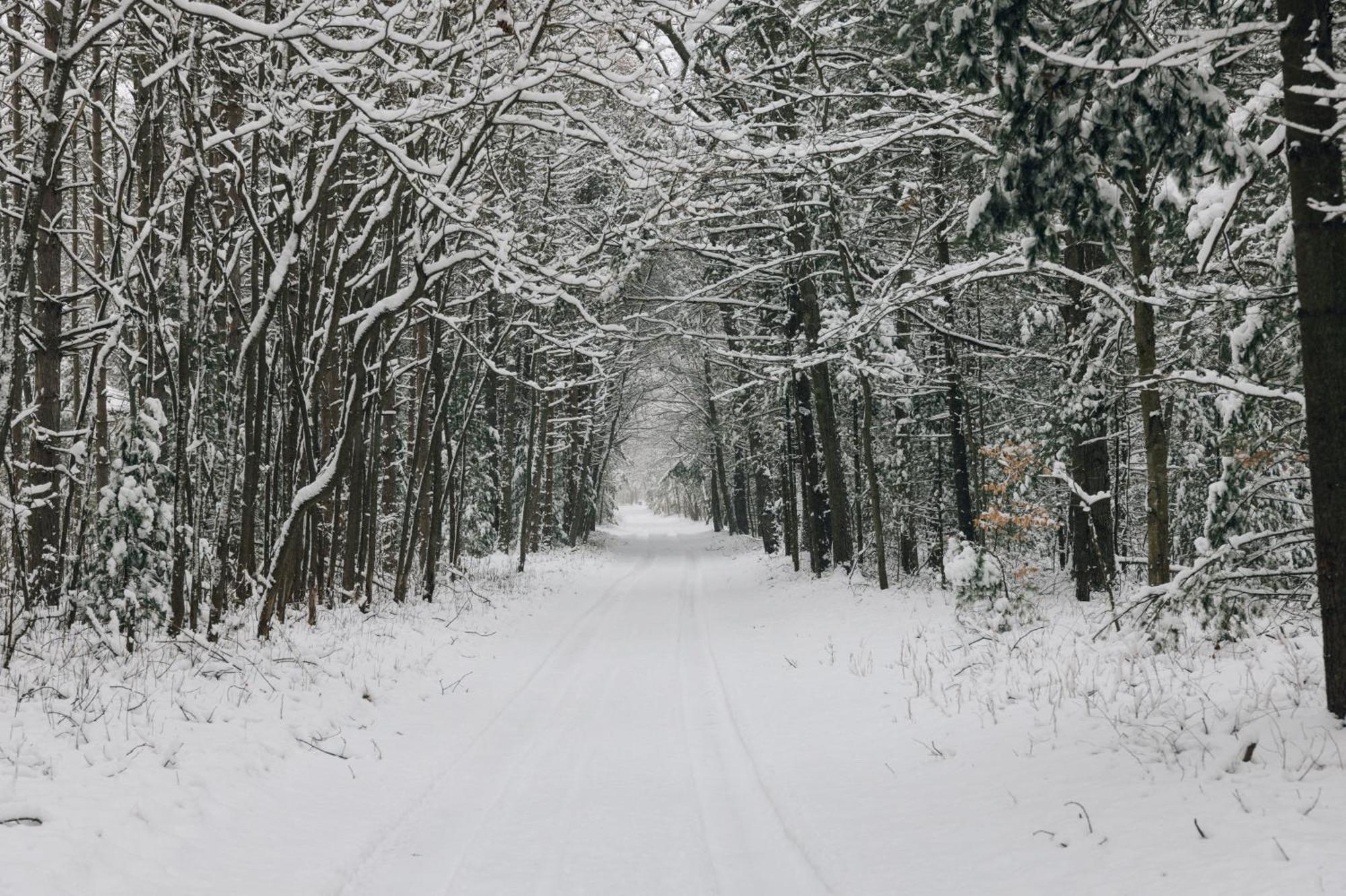 Scenic Drive Resort Muskegon Esterno foto
